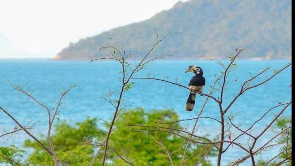 Koh Phaluay Eco Resort 素叻他尼 外观 照片